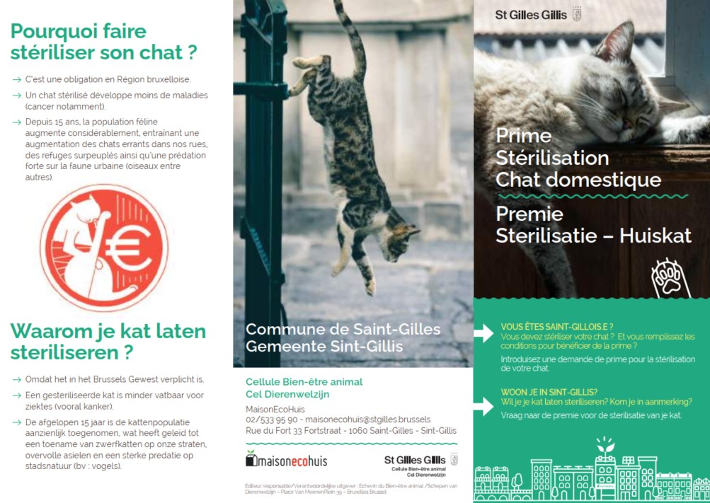 Flyer de la prime stérilisation des chats domestiques de l'Administration saint-gilloise, projet MaisonEcoHuis.