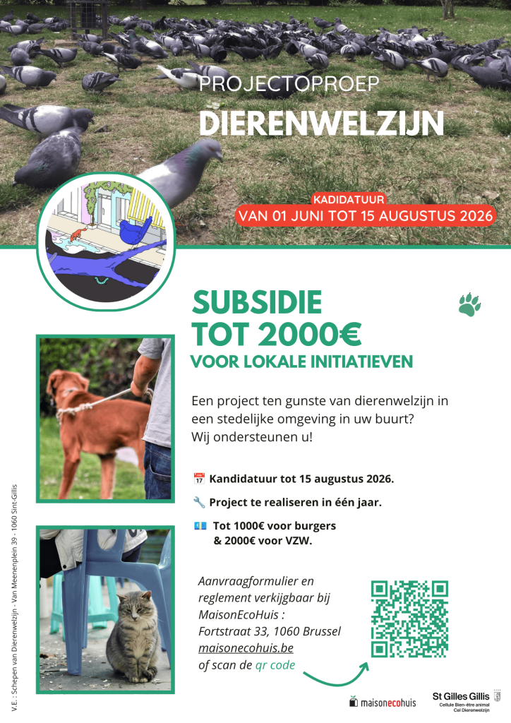 Flyer van de projectoproep van direnwelzijn cel, Sint-Gillis, Brussel.