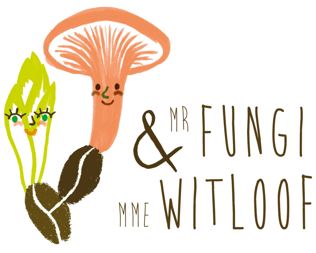 Projet sur les champignons et les chicons et leur culture en ville, spécifiquement à Saint-Gilles et à Forest (Bruxelles).