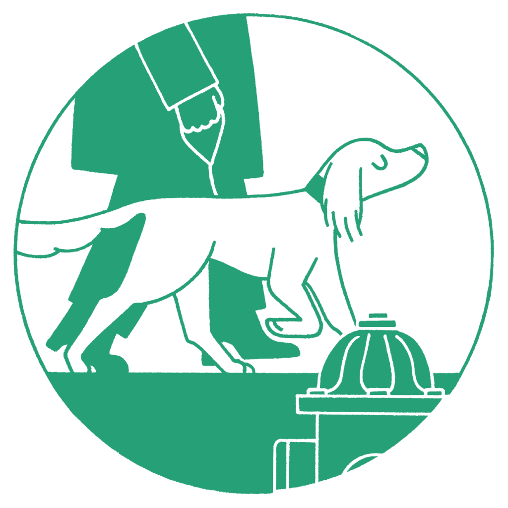 Projet de sensibilisation et de communication sur les chiens en milieu urbain, à Saint-Gilles (Bruxelles).