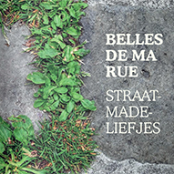 Straatmade Liefjes van Sint-Gillis, EcoHuis project.
