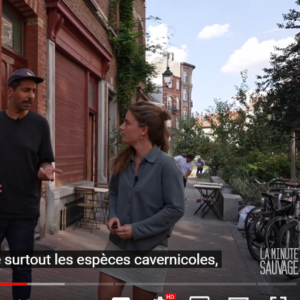 La Minute Sauvage over levende habitat  van Sint-Gillis.