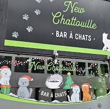 Devanture du bar New Chatouille (bar à chats) à Saint-Gilles, Bruxelles.